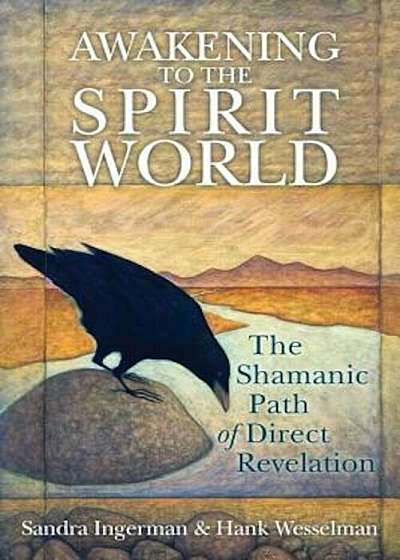 Awakening to the Spirit World: The Shamanic Path of Direct Revelation 'With CDROM', Paperback