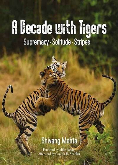 A Decade with Tigers: Supremacy. Solitude. Stripes, Hardcover