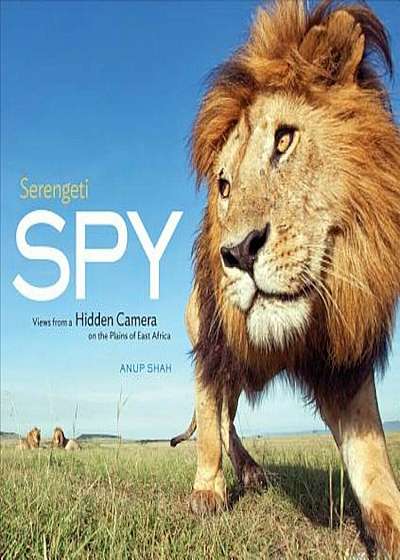 Serengeti Spy: Views from a Hidden Camera on the Plains of East Africa, Hardcover