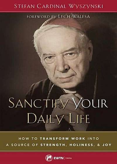 Sanctify Your Daily Life: How to Transform Work Into a Source of Strength, Holiness, and Joy, Paperback