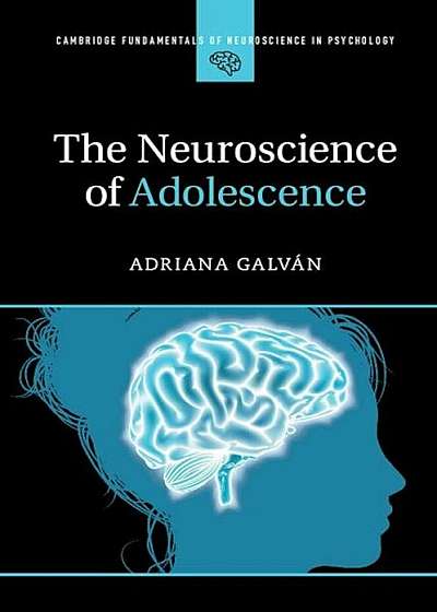 The Neuroscience of Adolescence, Paperback