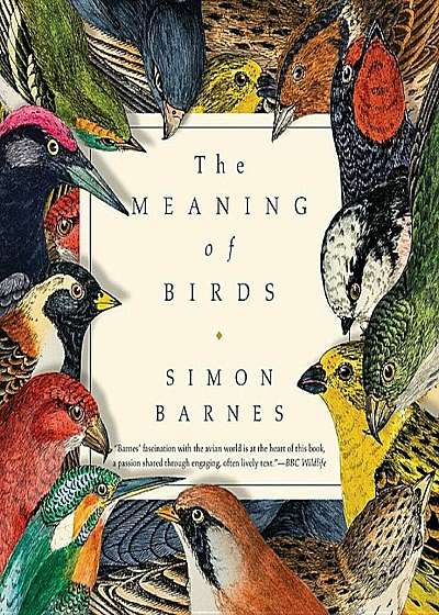 The Meaning of Birds, Hardcover
