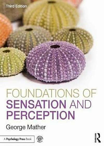 Foundations of Sensation and Perception, Paperback