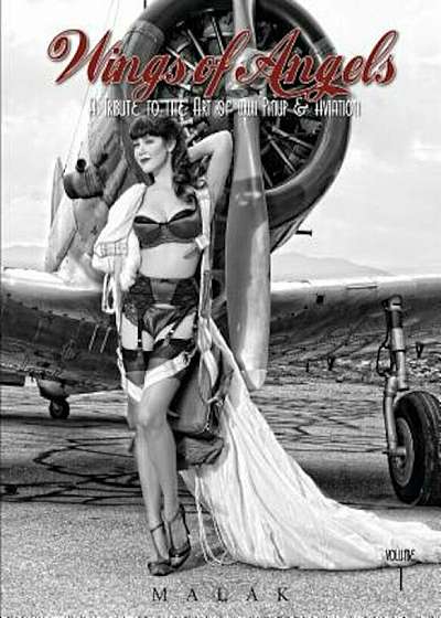Wings of Angels, Volume 1: A Tribute to the Art of World War II Pinup & Aviation, Hardcover