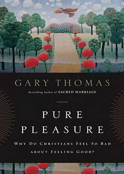Pure Pleasure: Why Do Christians Feel So Bad about Feeling Good', Paperback
