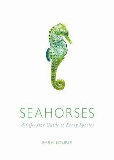 Seahorses, Hardcover