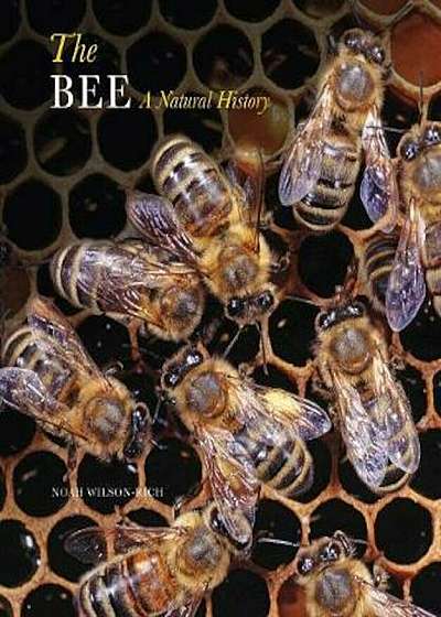 Bee, Paperback