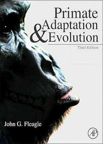 Primate Adaptation and Evolution, Hardcover