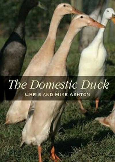 Domestic Duck, Paperback