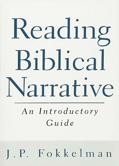 Reading Biblical Narrative: An Introductory Guide, Paperback