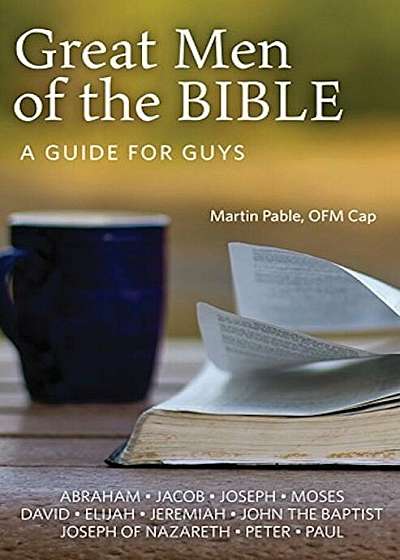 Great Men of the Bible: A Guide for Guys, Paperback