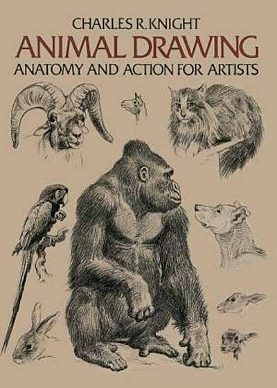 Animal Drawing: Its Origins, Ancient Forms and Modern Usage, Paperback