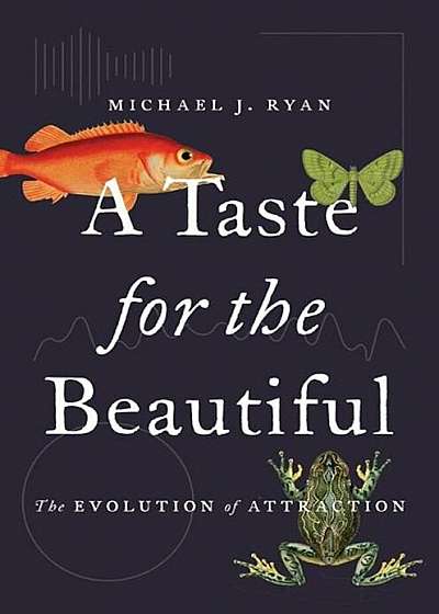 A Taste for the Beautiful: The Evolution of Attraction, Hardcover