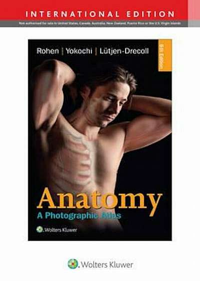 Anatomy, Paperback