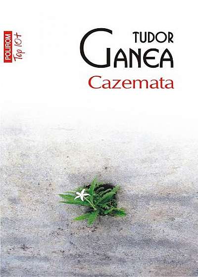 Cazemata (Top 10+)
