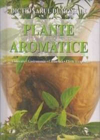 Plante Aromatice