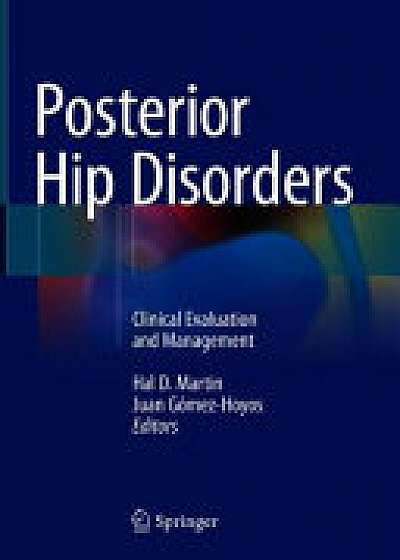 Coperta cărții Posterior Hip Disorders