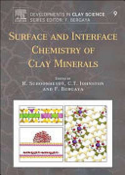 Surface and Interface Chemistry of Clay Minerals