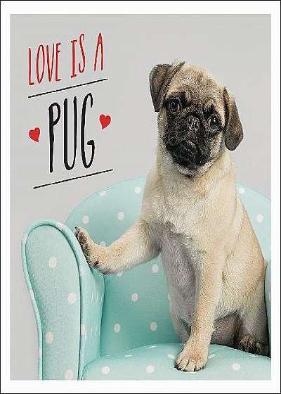 Love is a Pug