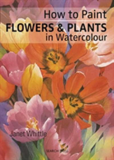 Coperta cărții How to Paint Flowers & Plants