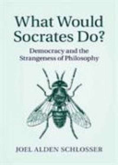 Coperta cărții What Would Socrates Do?