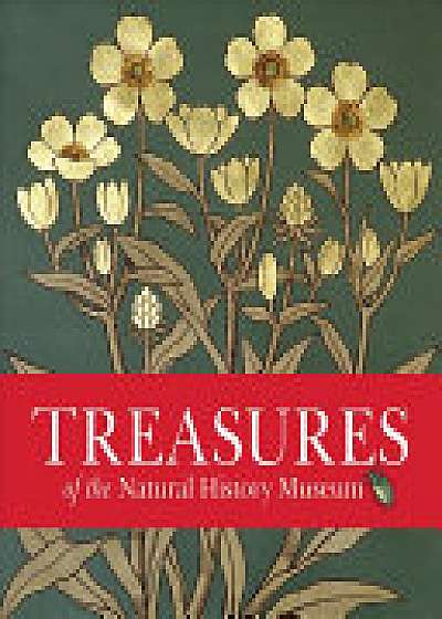 Treasures of the Natural History Museum