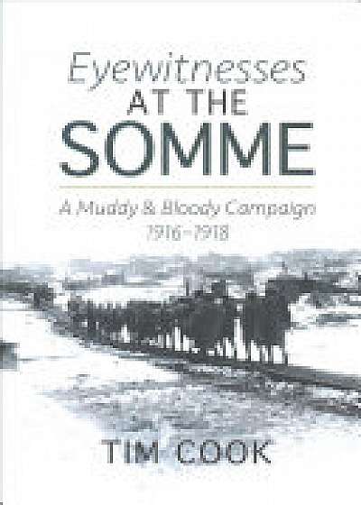 Eyewitnesses at the Somme