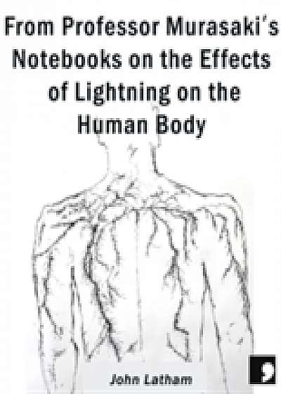 From Professor Murasaki's Notebooks on the Effects of Lightning on the Human Body