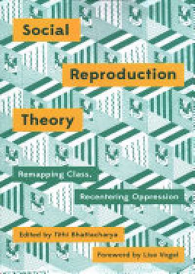 Coperta cărții Social Reproduction Theory