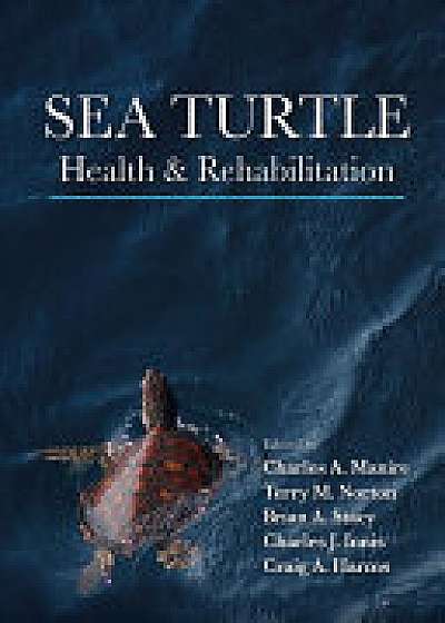 Sea Turtle Health and Rehabilitation