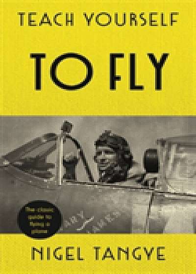 Coperta cărții Teach Yourself to Fly