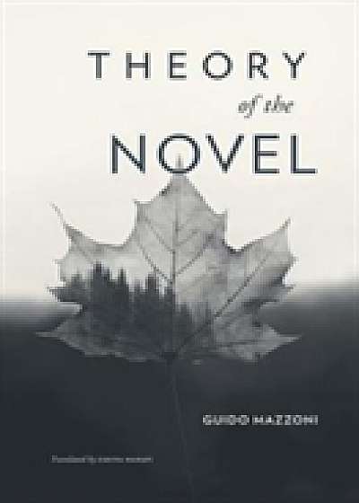 Coperta cărții Theory of the Novel