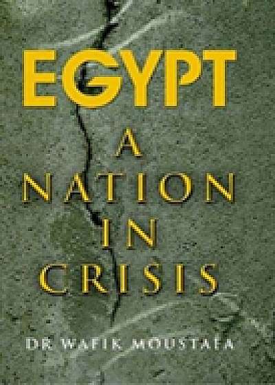 Egypt: A Nation in Crisis
