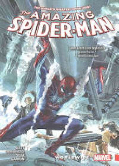 Amazing Spider-man: Worldwide Vol. 4