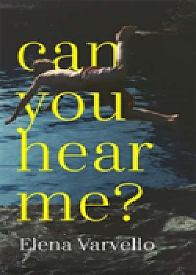 Can you hear me?
