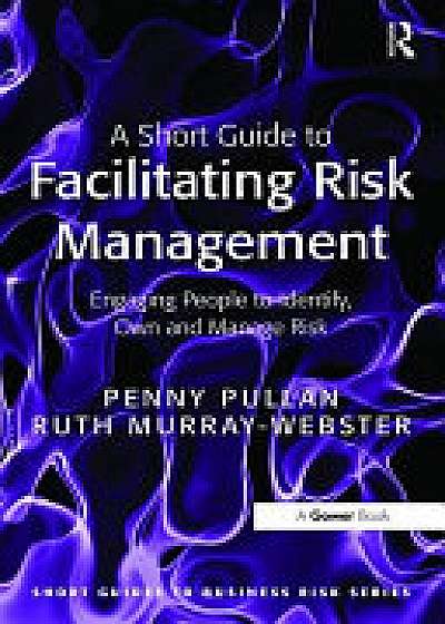 A Short Guide to Facilitating Risk Management