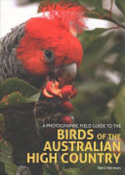 A Photographic Field Guide to the Birds of the Australian High Country