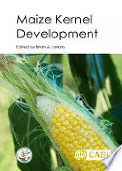 Maize Kernel Developmen