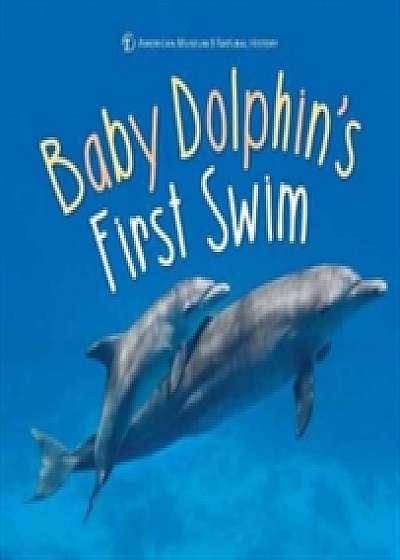 Baby Dolphin's First Swim