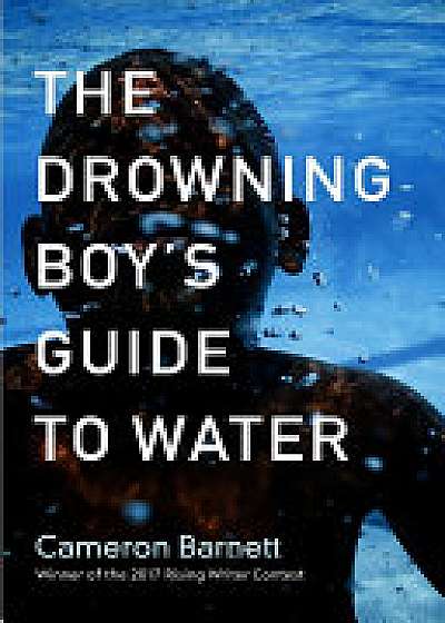 The Drowning Boy's Guide to Water