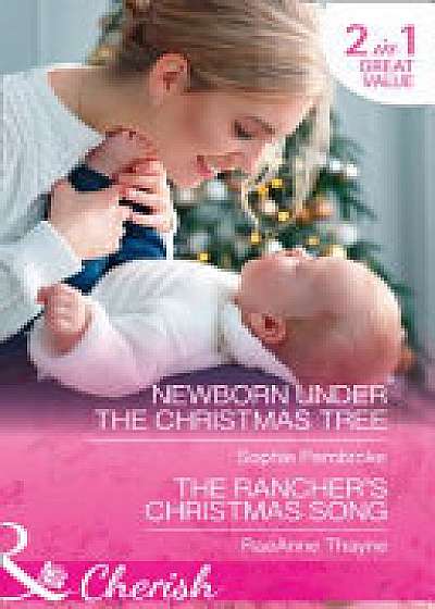 Newborn Under The Christmas Tree