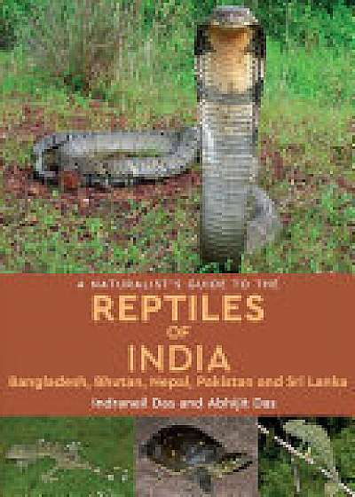 A Naturalist's Guide to the Reptiles of India