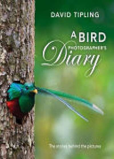 A Bird Photographer's Diary