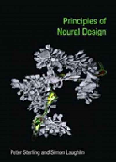 Coperta cărții Principles of Neural Design de Peter Sterling