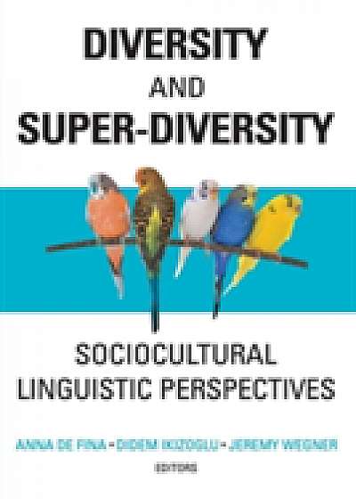 Diversity and Super-Diversity