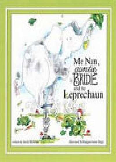 Coperta cărții Me Nan Antie Bridie and the Leprechaun