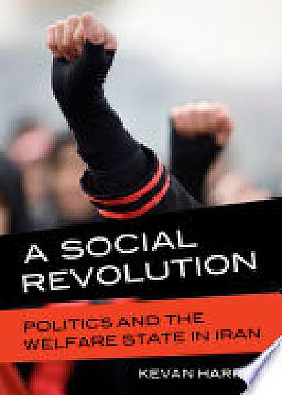 Coperta cărții A Social Revolution