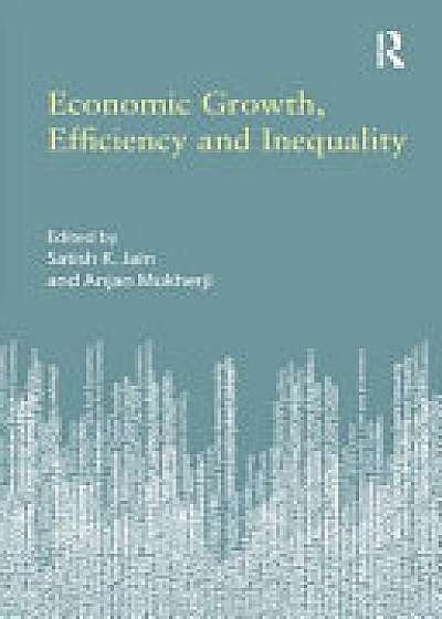 Economic Growth, Efficiency and Inequality