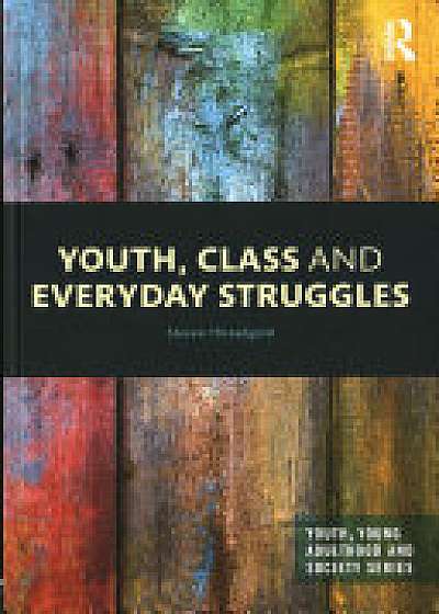 Coperta cărții Youth, Class and Everyday Struggles