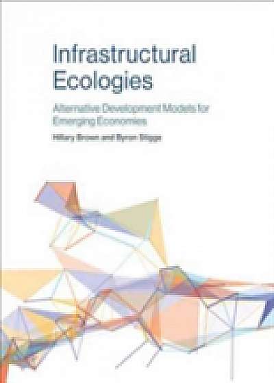 Coperta cărții Infrastructural Ecologies